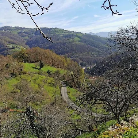Casa Acogedora En La Naturaleza * San Martin del Rey Aurelio